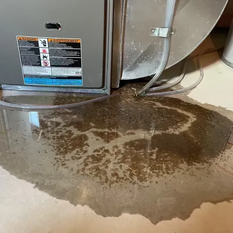 Appliance Leak Cleanup in Tuscumbia, MO